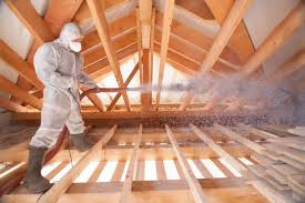 Best Radiant Barrier Insulation  in Oskaloosa, IA