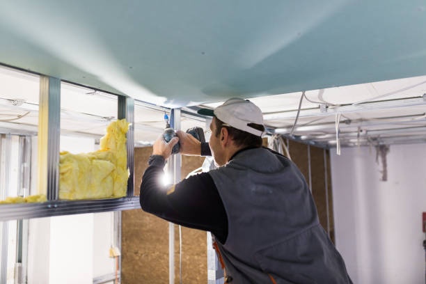 Best Eco-Friendly or Green Insulation Solutions  in Oskaloosa, IA